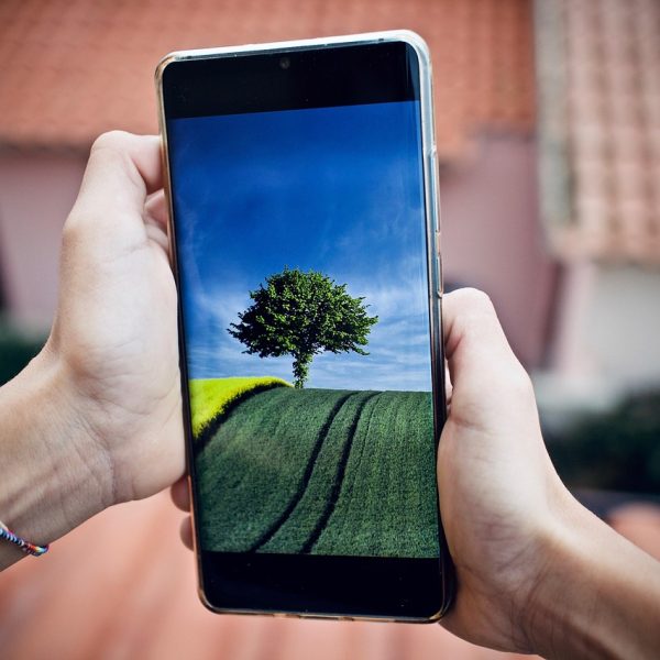 手机屏幕特写显示 App 内的版本信息与更新提示，浅色卡片与紫色小标签清晰可辨